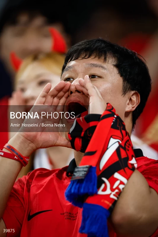 Saudi Arabia Vs. South Korea - AFC Asian Cup 2023