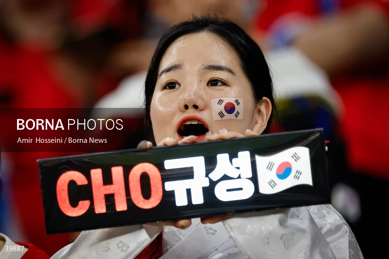 Saudi Arabia Vs. South Korea - AFC Asian Cup 2023