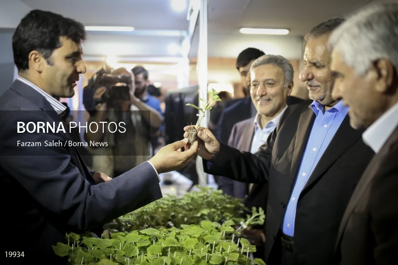 4th Education Festival in University of Tehran