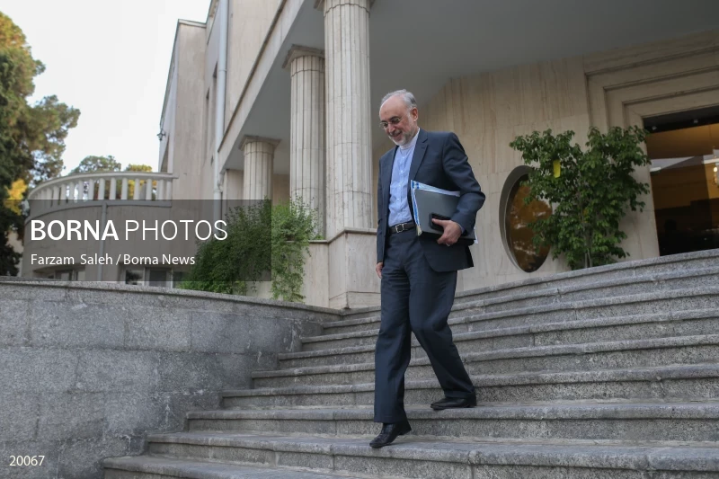 Ali Akbar Salehi