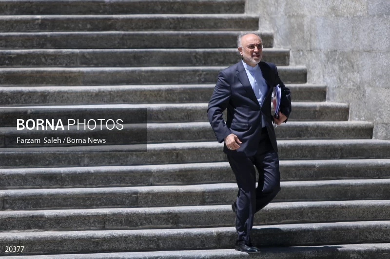 Ali Akbar Salehi