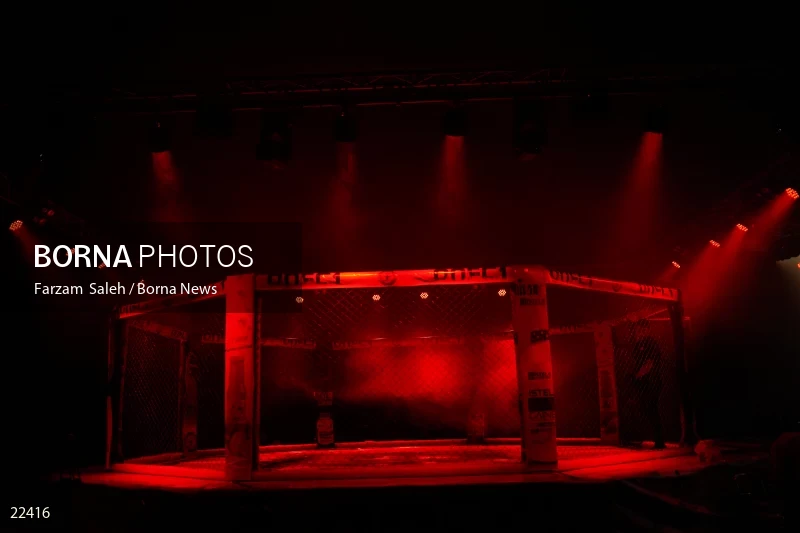 Mixed martial arts (MMA) competitions in Iran