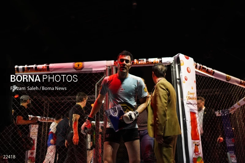 Mixed martial arts (MMA) competitions in Iran