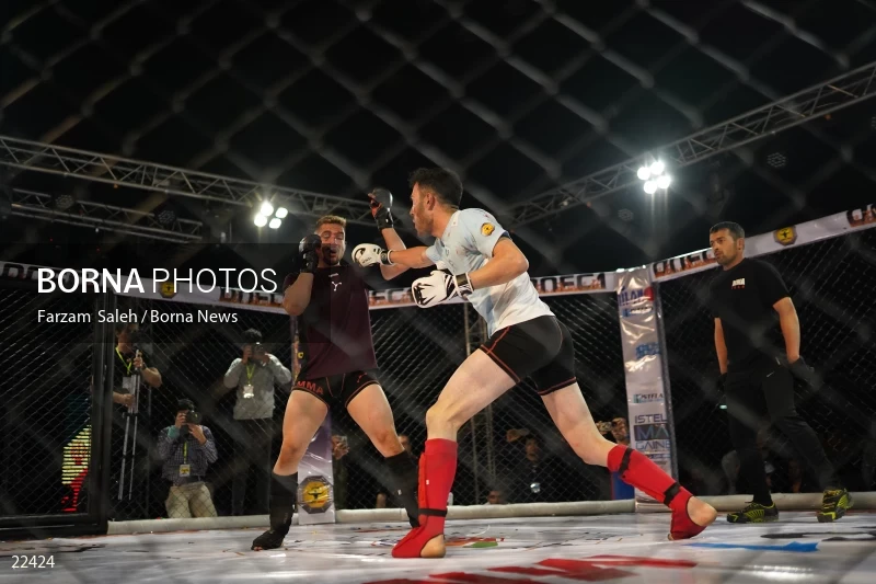 Mixed martial arts (MMA) competitions in Iran
