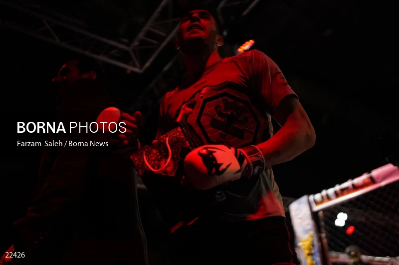 Mixed martial arts (MMA) competitions in Iran