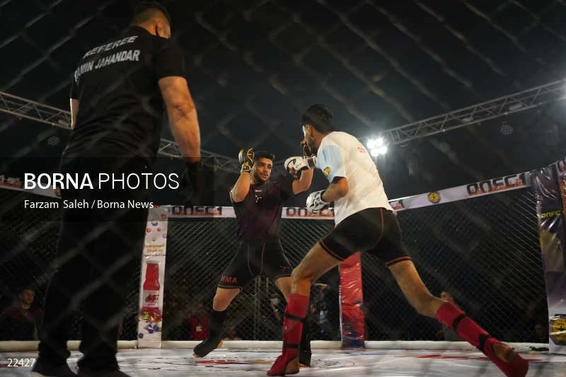 Mixed martial arts (MMA) competitions in Iran