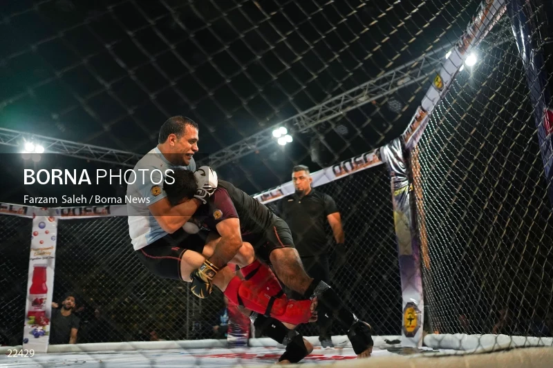 Mixed martial arts (MMA) competitions in Iran