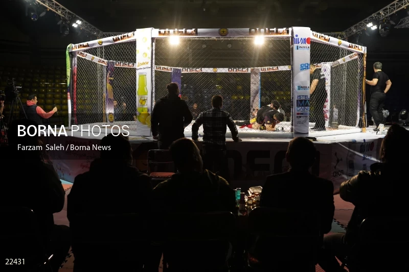 Mixed martial arts (MMA) competitions in Iran
