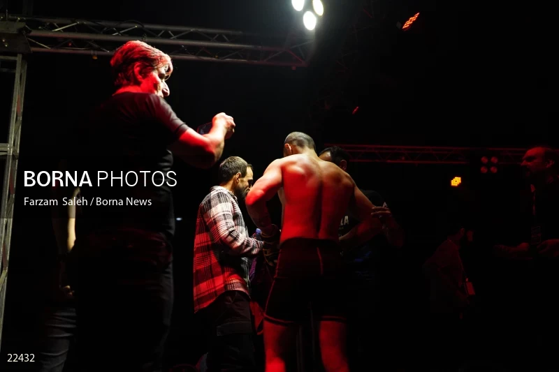 Mixed martial arts (MMA) competitions in Iran