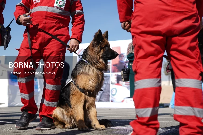 IRCS Ready to serve People in Nowruz