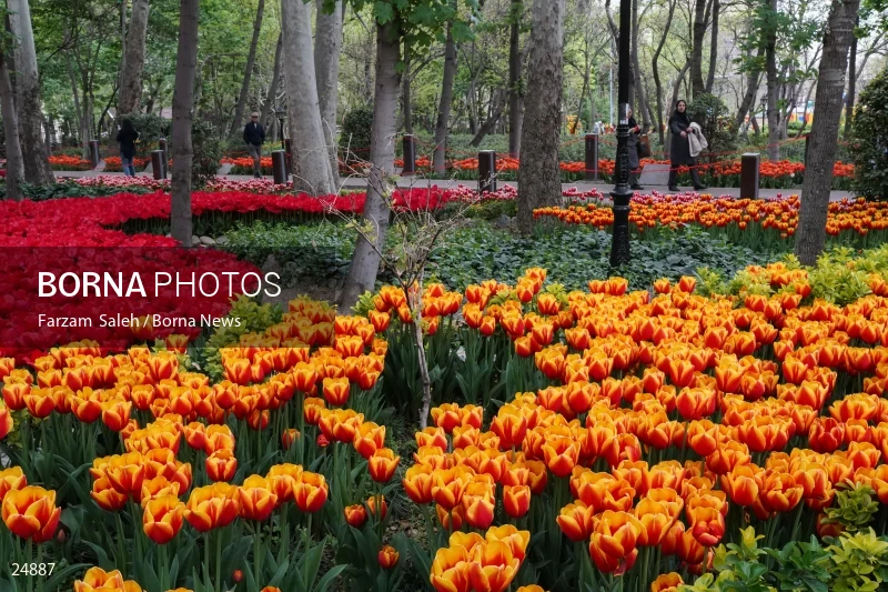 Bagh-e Irani (Iranian Garden) Park