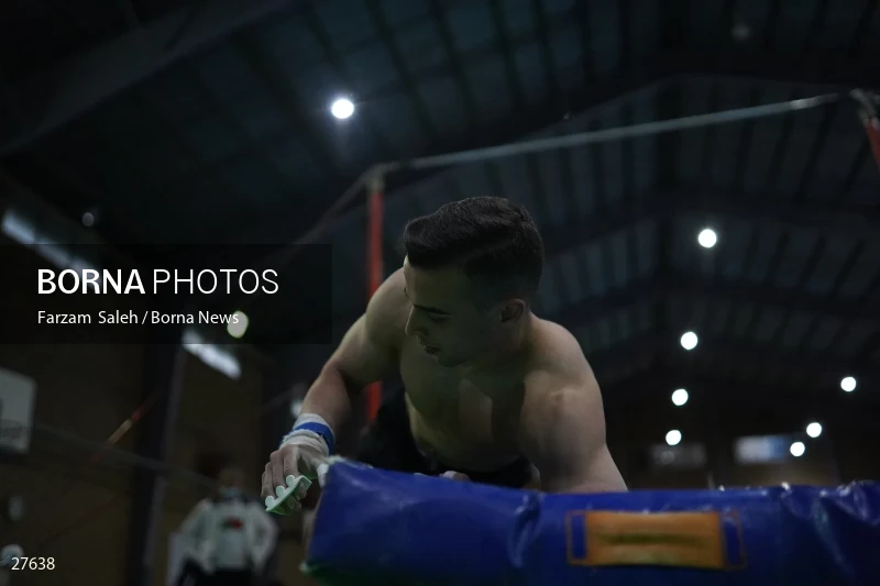 Iranian national gymnastics team camp