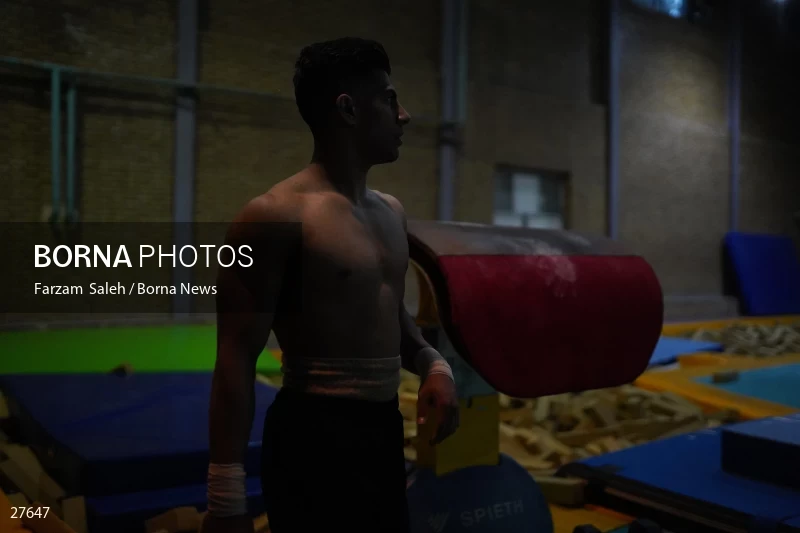 Iranian national gymnastics team camp