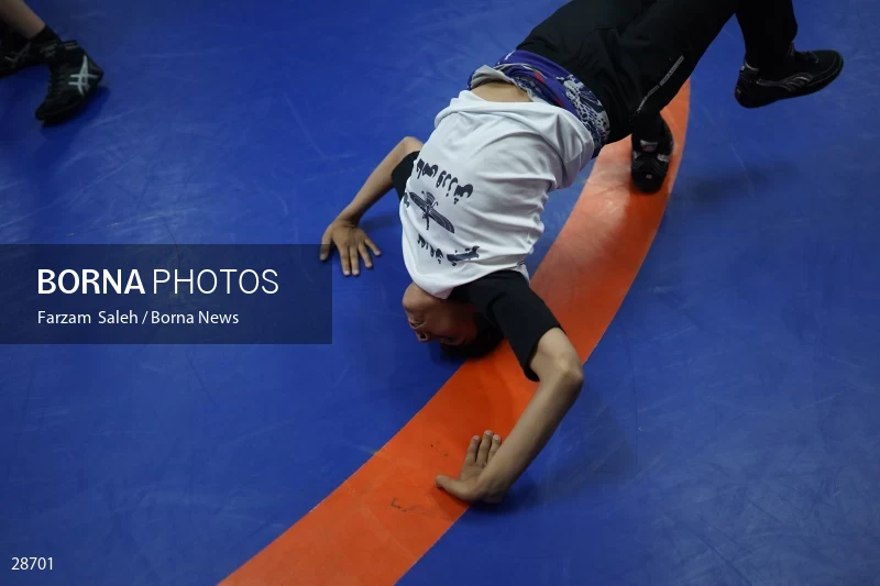 Iran Junior Wrestling Championships