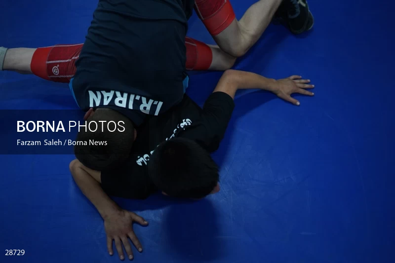Iran Junior Wrestling Championships