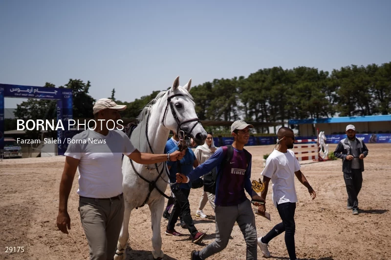 Armos Cup international horse jumping competition