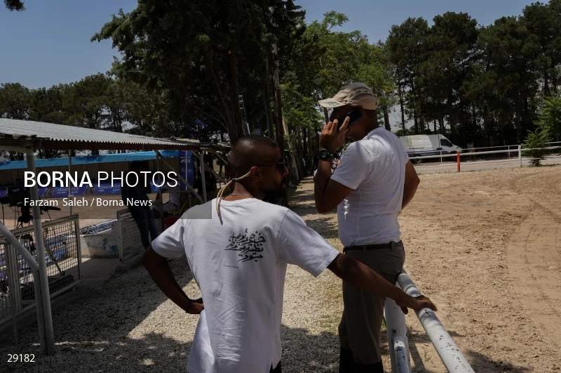 Armos Cup international horse jumping competition