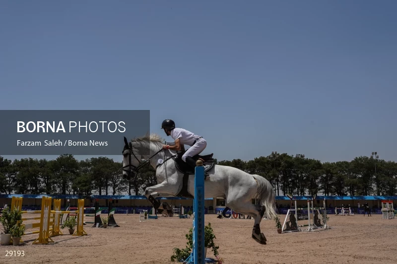 Armos Cup international horse jumping competition