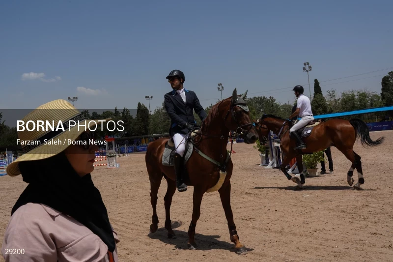 Armos Cup international horse jumping competition