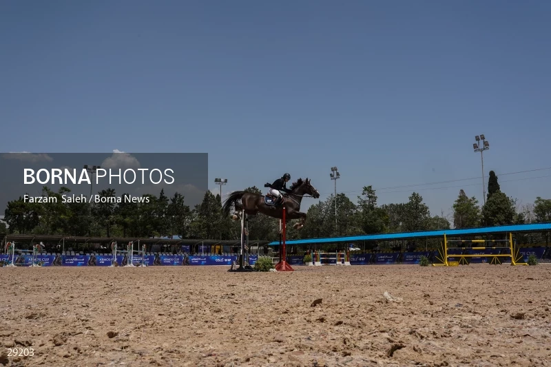 Armos Cup international horse jumping competition