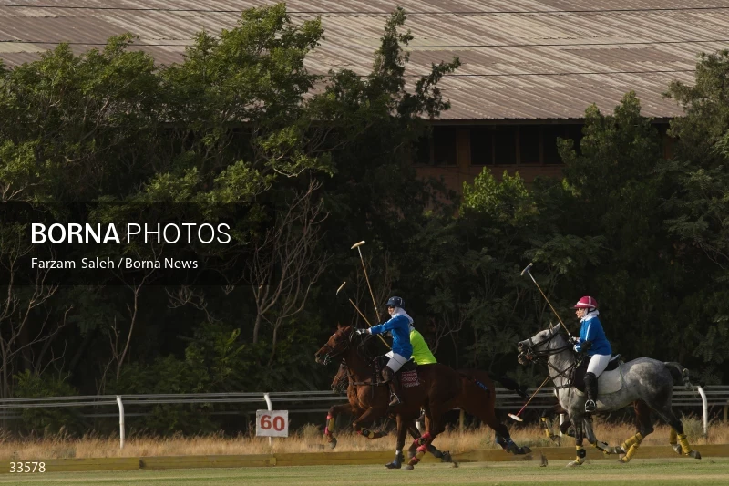 The 7th week of the National Women's Polo League (Laleh Cup)