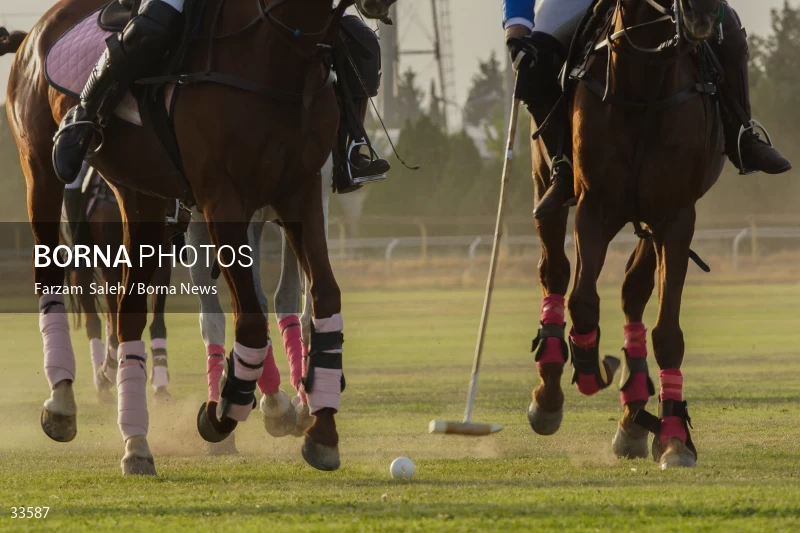 The 7th week of the National Women's Polo League (Laleh Cup)