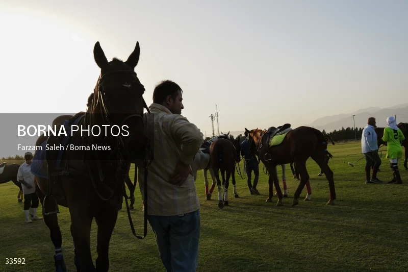 The 7th week of the National Women's Polo League (Laleh Cup)
