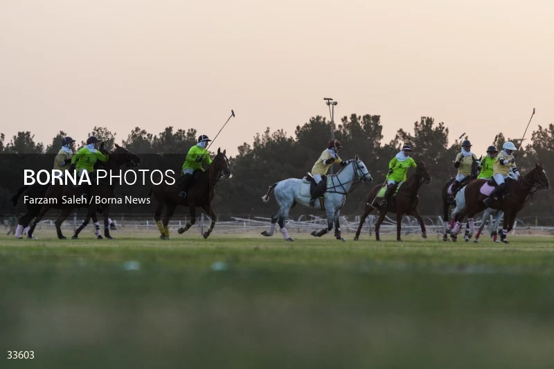 The 7th week of the National Women's Polo League (Laleh Cup)