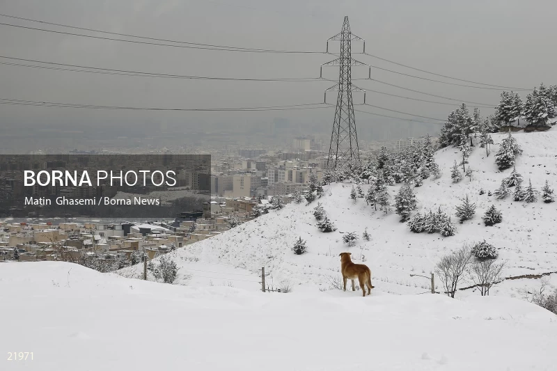 Tehran in a snowy day