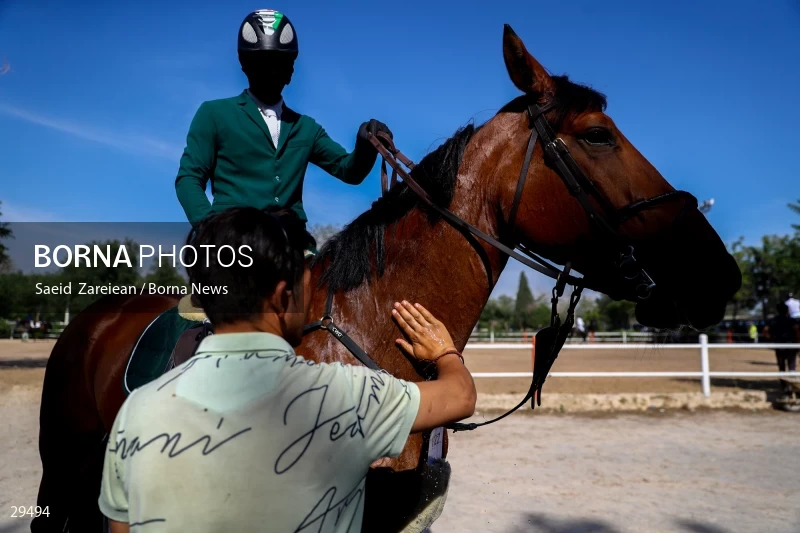 Armos Cup international horse jumping competition