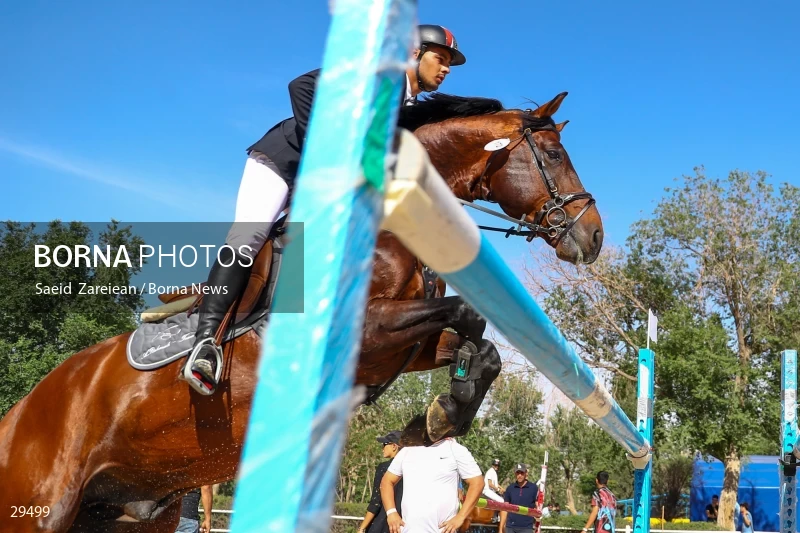 Armos Cup international horse jumping competition
