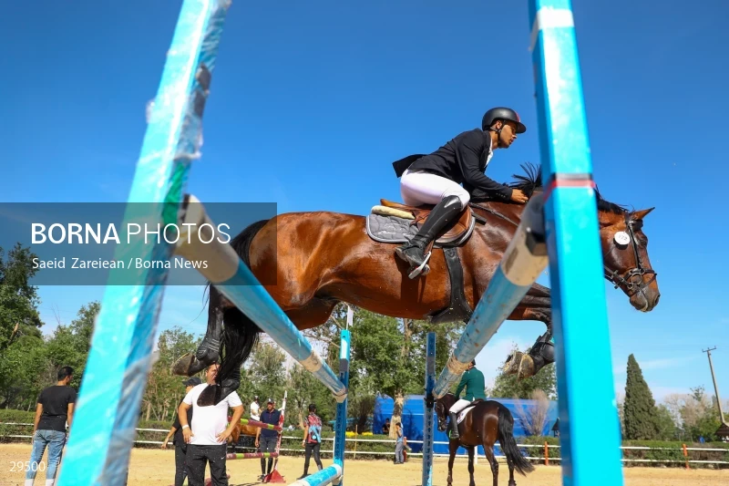 Armos Cup international horse jumping competition