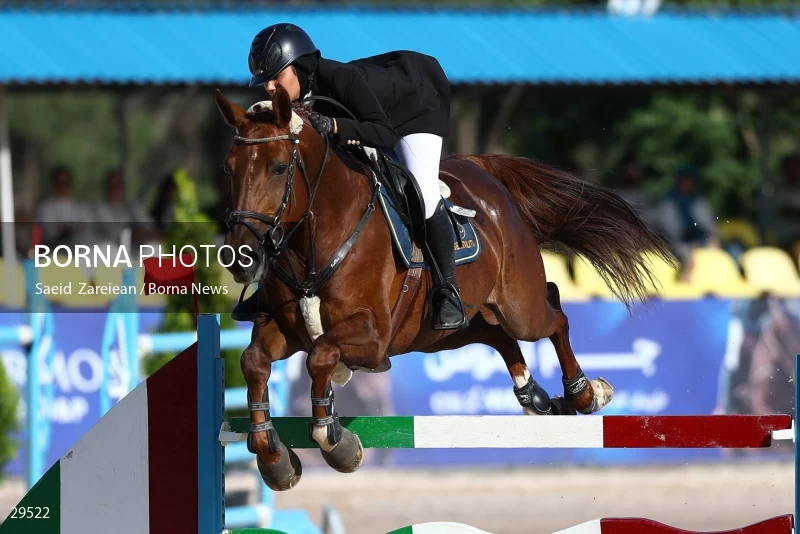Armos Cup international horse jumping competition