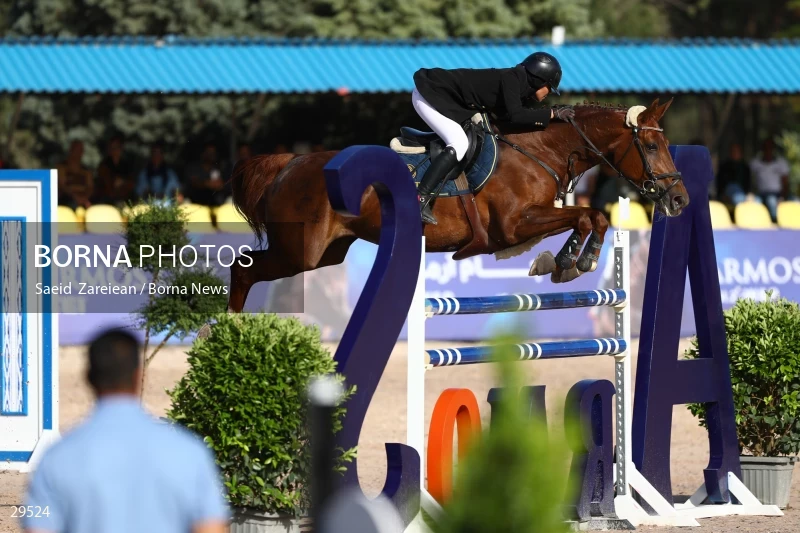 Armos Cup international horse jumping competition