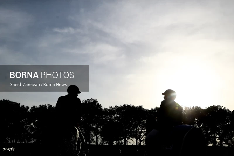 Armos Cup international horse jumping competition