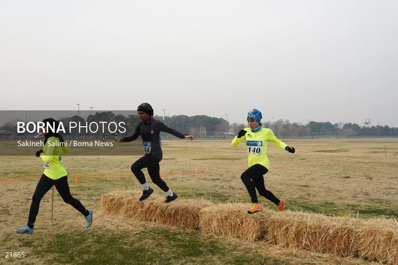 Cross country running competitions