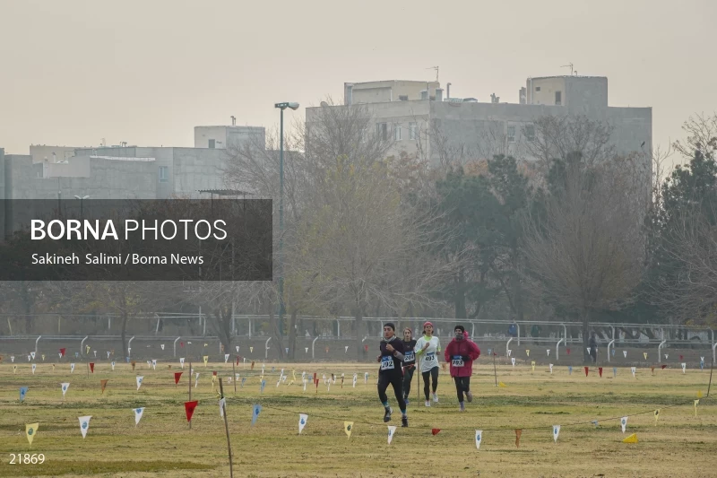 Cross country running competitions