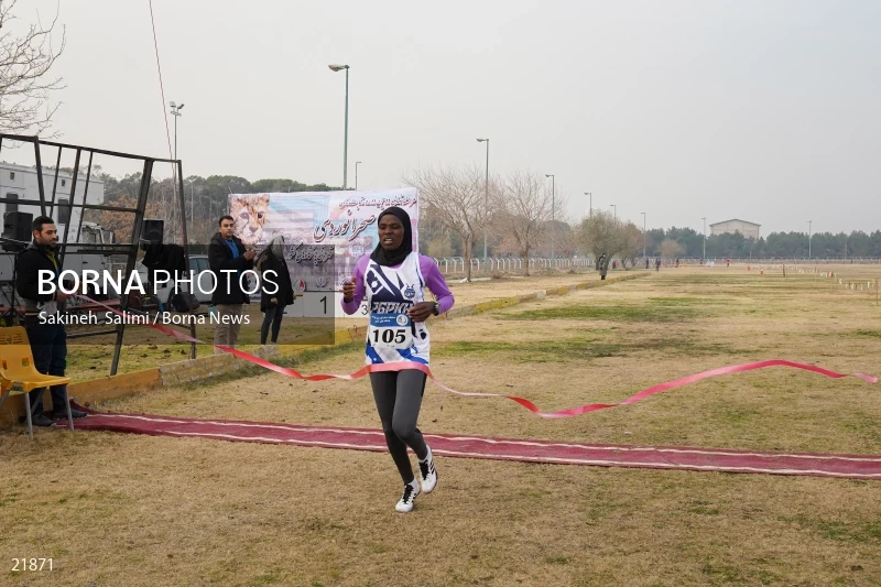 Cross country running competitions