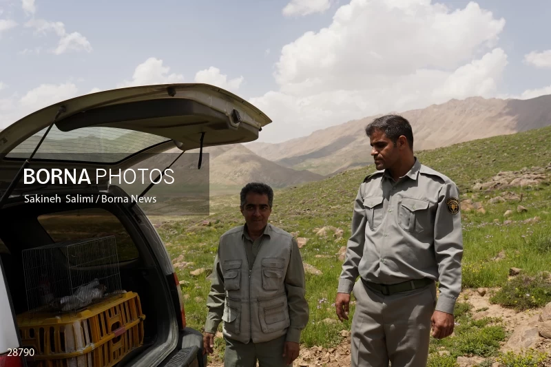 Releasing several species of birds in Lar National Park