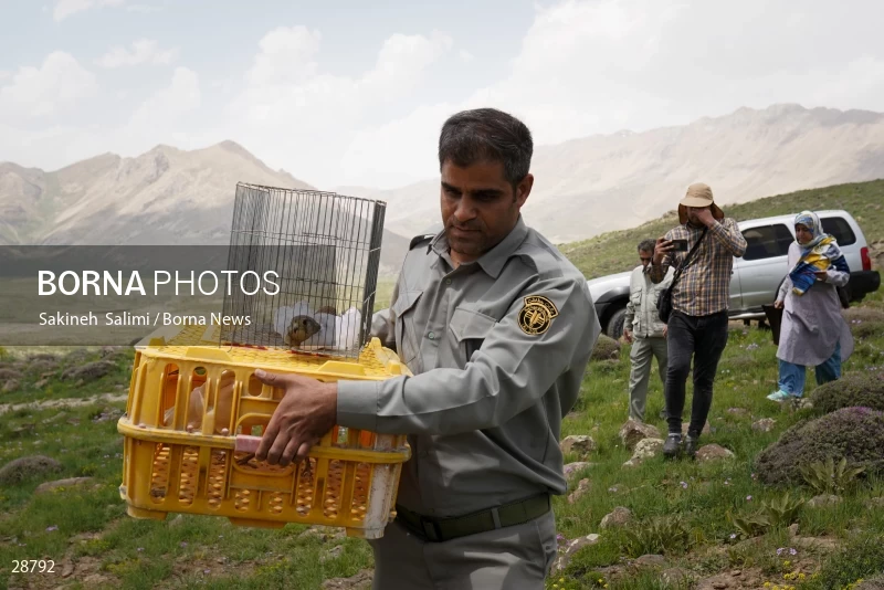 Releasing several species of birds in Lar National Park