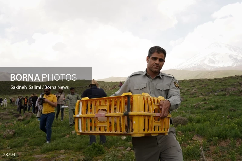 Releasing several species of birds in Lar National Park
