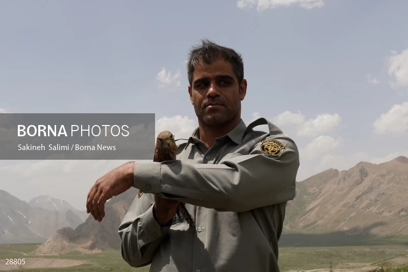 Releasing several species of birds in Lar National Park