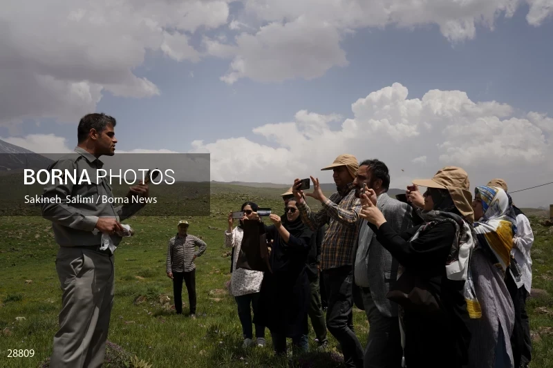 Releasing several species of birds in Lar National Park