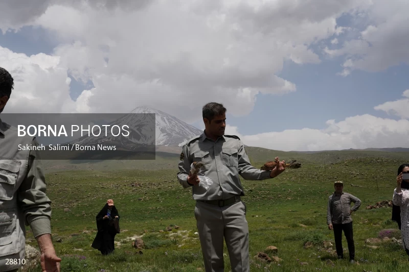 Releasing several species of birds in Lar National Park