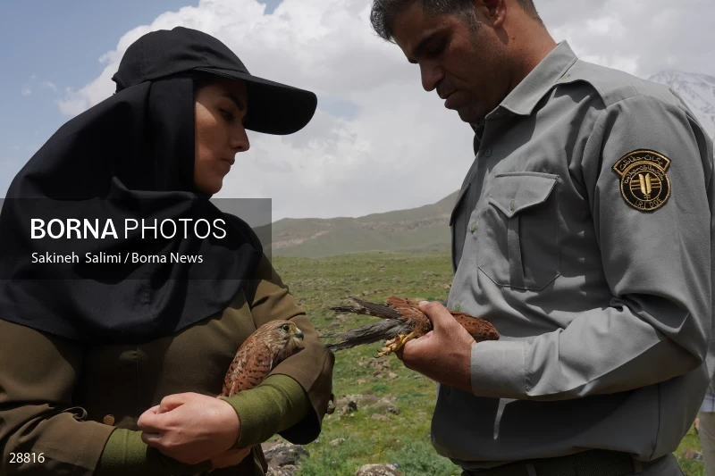 Releasing several species of birds in Lar National Park