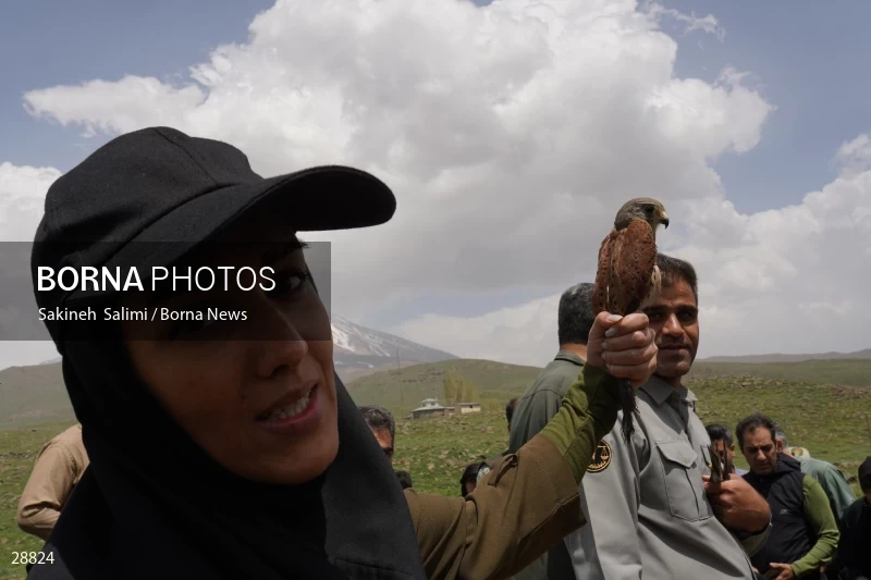 Releasing several species of birds in Lar National Park