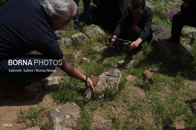 Releasing several species of birds in Lar National Park
