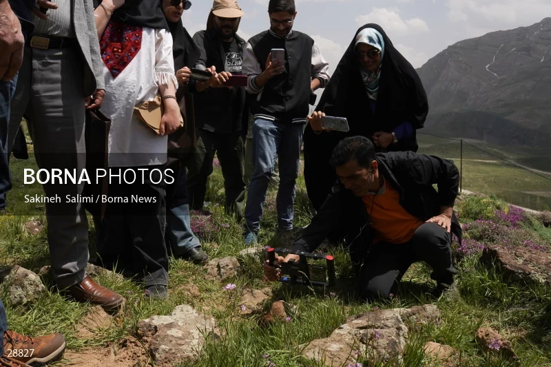 Releasing several species of birds in Lar National Park