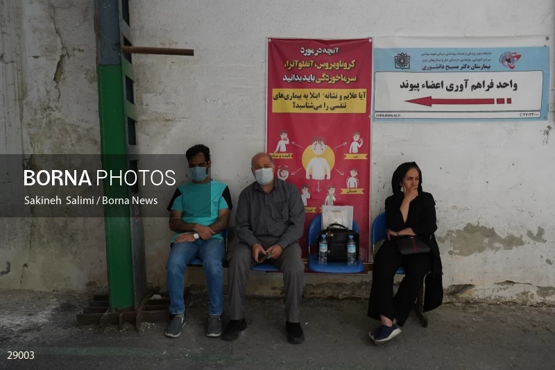 Organ donation surgery in Masih Daneshvari hospital