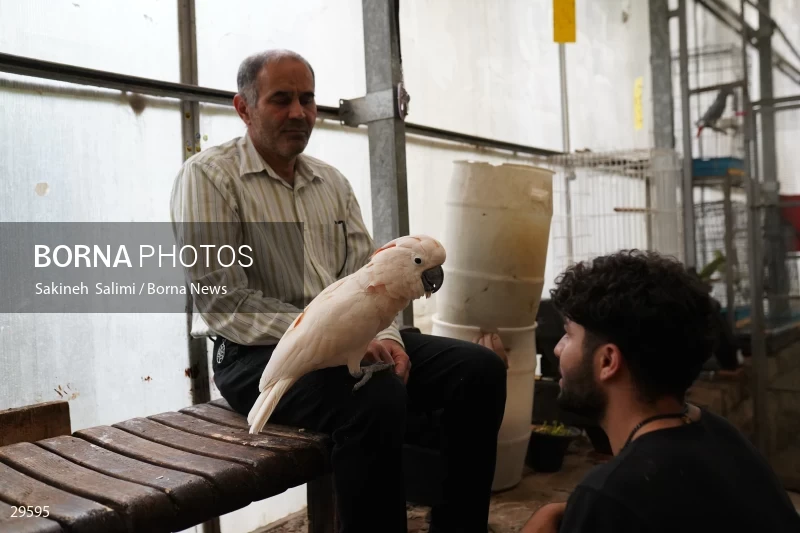 Tehran Birds Garden